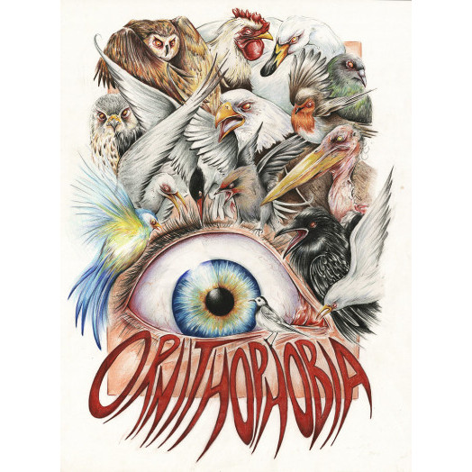 ornitofobia ornitofobia